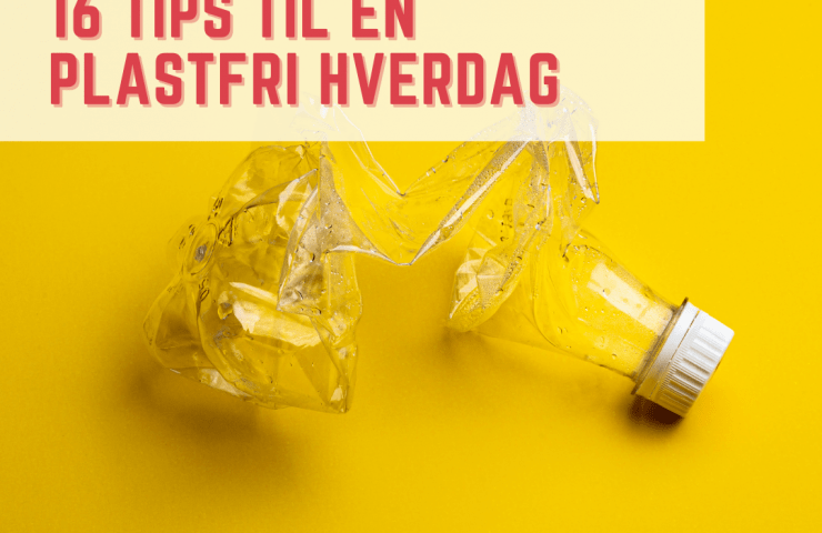 16 tips til en plastfri hverdag
