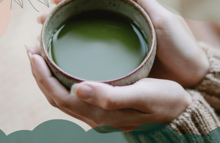 hvordan lage matcha latte - matcha pulver