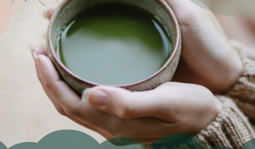 hvordan lage matcha latte - matcha pulver